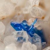 Linarite from 	Dos Adriana Mine, Zapallar dist., Copiapó Province, Atacama Region, Chile
FOV: 1.39 mm