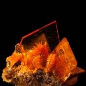 Wulfeinite and mimetite from Rowley Mine, , Maricopa Co., AZ
FOV: 1.06 cm