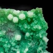 Conichalcite and Fluorite, Silver Coin Mine, Humboldt Co., NV
FOV: 2.4 mm