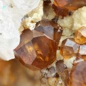 Grossular from Christmas Mine, Banner District, Dripping Spring Mts, Gila Co., AZ
FOV: 1.85 mm